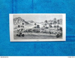 Gravure Année 1863 - Beghieh - Antes 1900