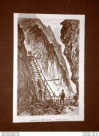 Bagni Di Recoaro Nel 1876 La Fonte Lelia - Antes 1900