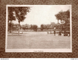 Mantova Nel 1894 Piazza Virgiliana O Di Virgilio Lombardia - Antes 1900