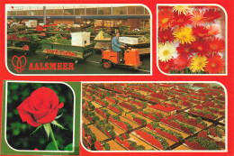 PAYS-BAS - Aalsmeer - Cutflower Section United Flower Markets Aalsmeer - Multi-vues - Fleurs - Animé - Carte Postale - Aalsmeer