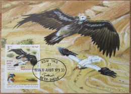 ISRAEL 2013 VULTURE GYPAETUS BARBATUS PALPHOT MAXIMUM CARD STAMP FIRST DAY OF ISSUE POSTCARD CARTE POSTALE POSTKARTE - Maximumkaarten