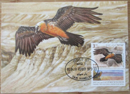 ISRAEL 2013 VULTURE GYPAETUS BARBATUS PALPHOT MAXIMUM CARD STAMP FIRST DAY OF ISSUE POSTCARD CARTE POSTALE POSTKARTE - Tarjetas – Máxima