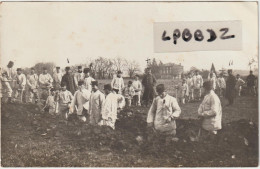 CPA PHOTO - 81 - RABASTENS - MILITARIA - Manoeuvres - Secteur à Situer - Creusement De Tranchées - Vers 1914 - Rabastens