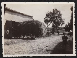 Jolie Photographie Monde Paysan, Charrette Moisson Récolte Ferme Agriculture Agricole Foin Meule 11,7 X 8,6 Cm - Places