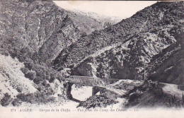 Algerie - ALGER - Gorges De La Chiffa - Vue Prise Du Camp Des Chenes - Algerien