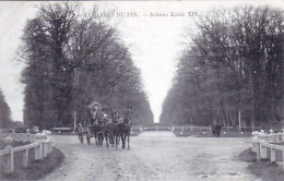 61 - Orne -  LE HARAS Du PIN - Avenue Louis XIV - Attelage De Chevaux - Hippisme - Other & Unclassified