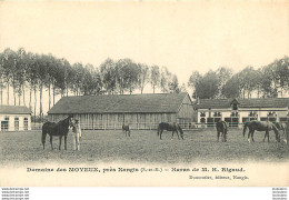 DOMAINE DE MOYEUX PRES DE NANGIS HARAS DE M.H. RIGAUD - Sonstige & Ohne Zuordnung