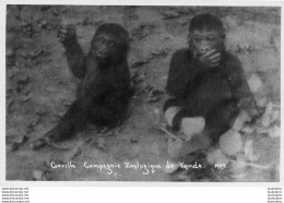 COMPAGNIE ZOOLOGIQUE DE YAUNDE CAMEROUN GORILLE R9 - Cameroun