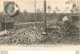 CHARBONNIERS EN FORET ECORCAGE DU CHENE COTE D'OR - Other & Unclassified