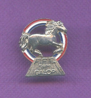 Rare Pins Ffe  Federation Francaise Equitation  5 éme Galop   T131 - Autres & Non Classés