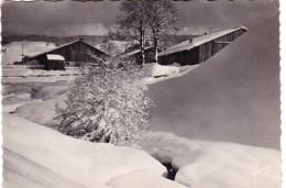 74 - Environs De Morzine - Paysage D'hiver Au Col Des Gets - Morzine