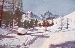 Grisons -  SAINT MORITZ - Terrain De Ski - Andere & Zonder Classificatie