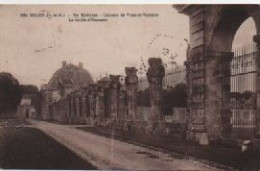 SEINE ET MARNE-Melun-Ses Environs-Château De Vaux Le Vicomte-La Grille D'Honneur - 198 - Melun