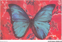 AJXP10-0995 - ANIMAUX - Papillon Sur Fond Rouge - Vlinders