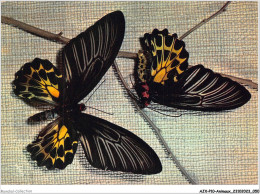 AJXP10-0999 - ANIMAUX - PAPILLONS EXOTIQUES - Mariposas