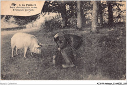 AJXP9-0939 - ANIMAUX - En Perigord - Deux Chercheurs De Truffes - Fructueuse Trouvaille - Varkens