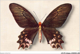 AJXP9-0891 - ANIMAUX - PAPILIO SEMPERI - Mariposas