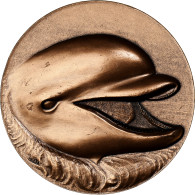 France, Médaille, Les Dauphins, Bronze Florentin, Bret, SUP+ - Andere & Zonder Classificatie