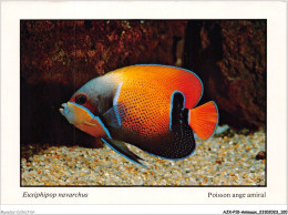 AJXP10-1034 - ANIMAUX - POISSONS CORAILLIENS - EUXIPHIPOP NARVARCHUS - Poisson Ange Amiral - Vissen & Schaaldieren