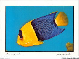 AJXP10-1040 - ANIMAUX - POISSONS CORAILLIENS - Centropyge Bicolore - Ange Nain Bicolore - Pescados Y Crustáceos