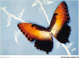 AJXP10-1007 - ANIMAUX - PAPILLONS EXOTIQUES - Morpho Hecuba - Grand Planeur - Papillons