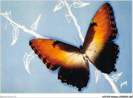 AJXP10-1004 - ANIMAUX - PAPILLONS EXOTIQUES - Morpho Hecuba - Grand Planeur - Mariposas