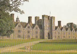 Knole  - Kent - , UK   -   Unused Postcard   - K1 - Dover