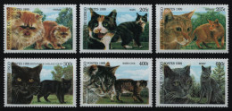 Kongo-Brazzaville 1999 - Mi-Nr. 1677-1682 ** - MNH - Katzen / Cats - Mint/hinged