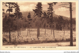 ALE1P5-68-0421 - COL DU WETTSTEIN - Le Cimetière Des Chasseurs - Orbey