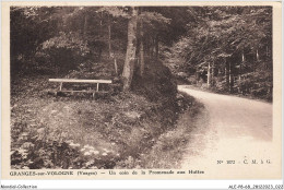 ALE2P8-68-0112 - GRANGES-sur-VOLOGNE - Vosges - Un Coin De La Promenade Aux Huttes  - Autres & Non Classés