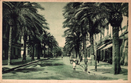 20 - AJACCIO / AVENUE DU PREMIER CONSUL - Ajaccio