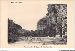 AESP1-ALGERIE-0087 - Dans L'aures - Rhoufi - Le Canon De L'oued-el-abiod  - Autres & Non Classés