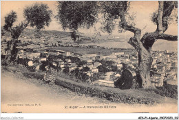 AESP1-ALGERIE-0057 - ALGER - A Travers Les Oliviers  - Algiers
