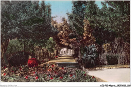 AESP10-ALGERIE-0974 - SETIF - Jardin D'orléans  - Setif