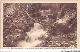 AESP10-ALGERIE-0895 - Env De BLIDA - Les Gorges De La Chiffa - Cascade Du Ruisseau Des Singes  - Blida