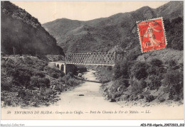 AESP10-ALGERIE-0885 - Environs De BLIDA - Gorges De La Chiffa - Pont Du Chemin De Fer De Médéa  - Blida