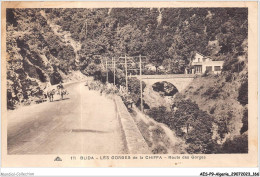 AESP9-ALGERIE-0859 - BLIDA - Les Gorges De La Chiffa - Route Des Gorges  - Blida