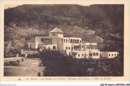 AESP9-ALGERIE-0804 - BLIDA - Les Gorges De La Chiffa - Ruisseau Des Singes - L'hôtel Du Rocher  - Blida