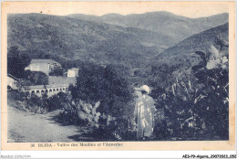 AESP9-ALGERIE-0801 - BLIDA - Vallée Des Moulins Et L'aqueduc  - Blida