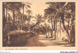 AESP8-ALGERIE-0768 - BISKRA - Dans La Palmeraie  - Biskra