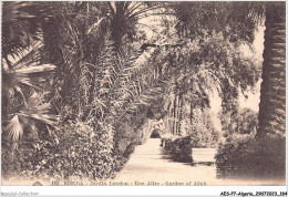 AESP7-ALGERIE-0665 - BRISKRA - Jardin Landon - Une Allée - Garden Of Allah  - Biskra