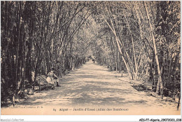 AESP7-ALGERIE-0592 - ALGER - Jardin D'éssai - Allée Des Bambous  - Algeri