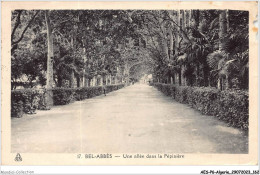 AESP6-ALGERIE-0570 - BEL-ABBES - Une Allée Dans La Pépinière  - Sonstige & Ohne Zuordnung