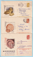 USSR 1977.0830-1222. Russian Wood-carvings. Prestamped Covers (3), Used - 1970-79