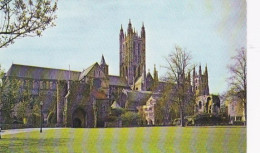 Canterbury Cathedral,   - Kent - , UK   -   Unused Postcard   - K1 - Otros & Sin Clasificación