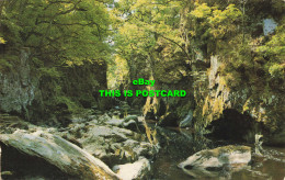 R577667 Fairy Glen. Betws Y Coed. Salmon - Monde