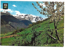 PAISATGE TIPIC / TYPICAL LANDSCAPE.- VALLE DE ARAN, PIRINEU CATALA.- LLEIDA.- ( CATALUNYA) - Lérida