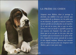 BASSET "La Prière Du Chien" - Honden