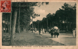 85 - LES SABLES D'OLONNE / AVENUE DU CASINO DES PINS - Sables D'Olonne