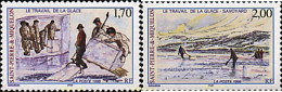 35661 MNH SAN PEDRO Y MIQUELON 1998 TRABAJO DEL HIELO - Unused Stamps